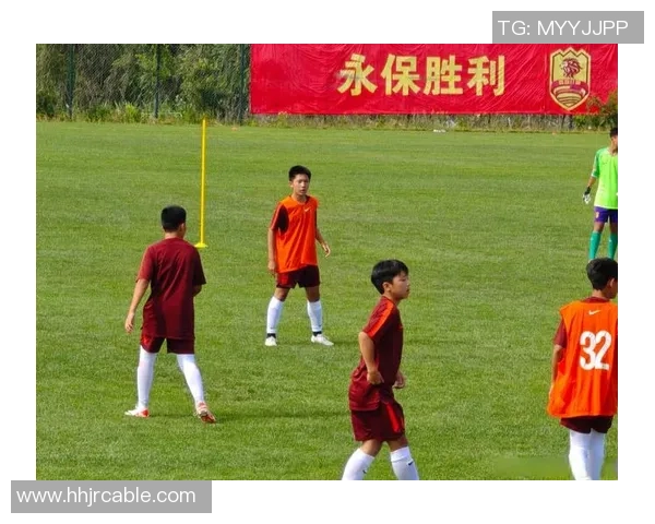 足球里sf的魅力与挑战探讨以及如何提升球员的竞技水平与团队协作能力