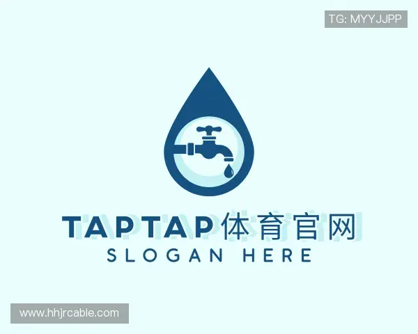 了解TapTap点点体育